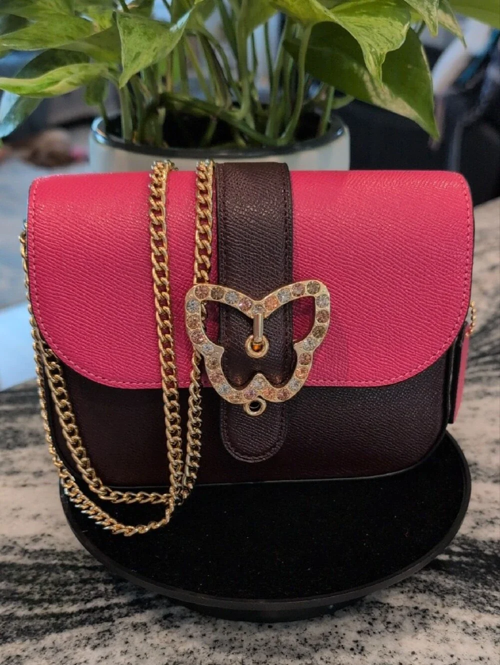 Coach Gemma Two-Toned Shoulder Crossbody Bag with Crystal Butterfly Buckle
